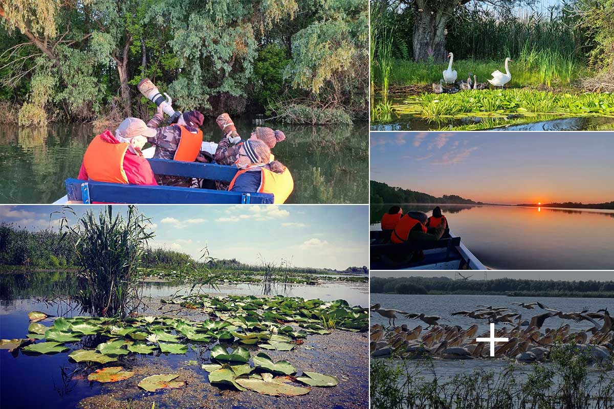 Danube Delta Tours | Wonderful tours in the Danube Delta